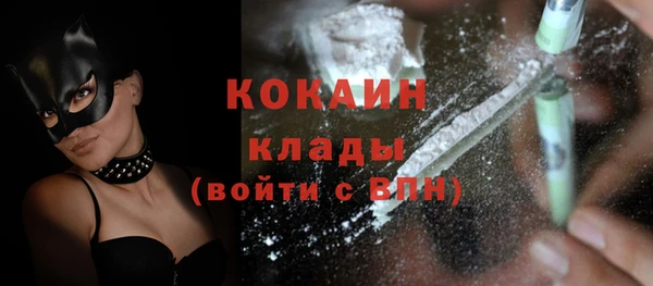 хмурый Белая Холуница