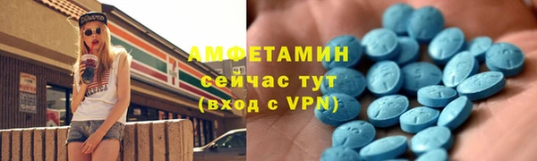 прущие грибы Наволоки