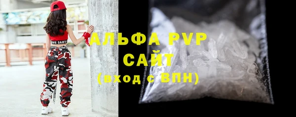 прущие грибы Наволоки