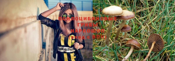 прущие грибы Наволоки