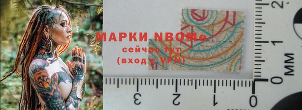 прущие грибы Наволоки